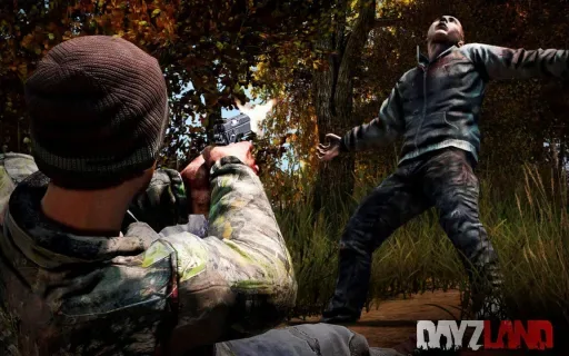 Screenshot 3. 1. DayzLand.ru Chernarus Classic