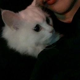 drobi