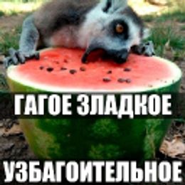 makedonec